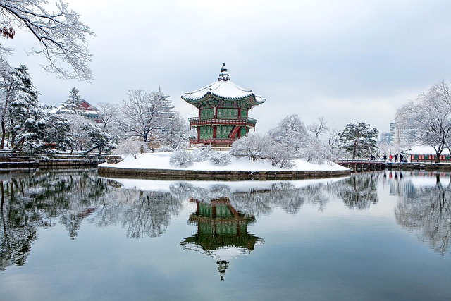 한국사 속의 명장면, 감동의 순간 되새기기